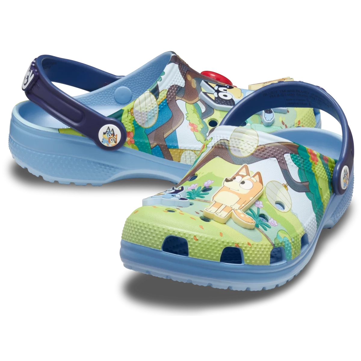 shoe img
